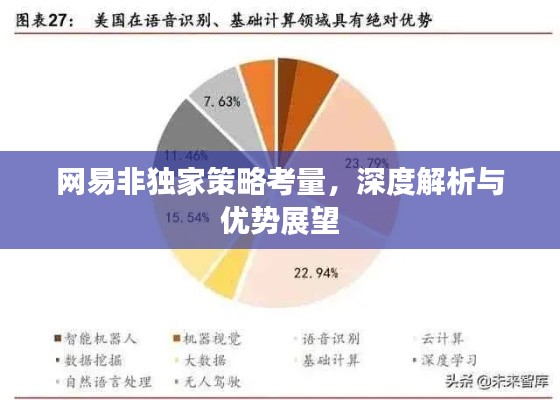 网易非独家策略考量，深度解析与优势展望