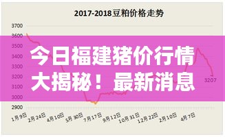 今日福建猪价行情大揭秘！最新消息一网打尽